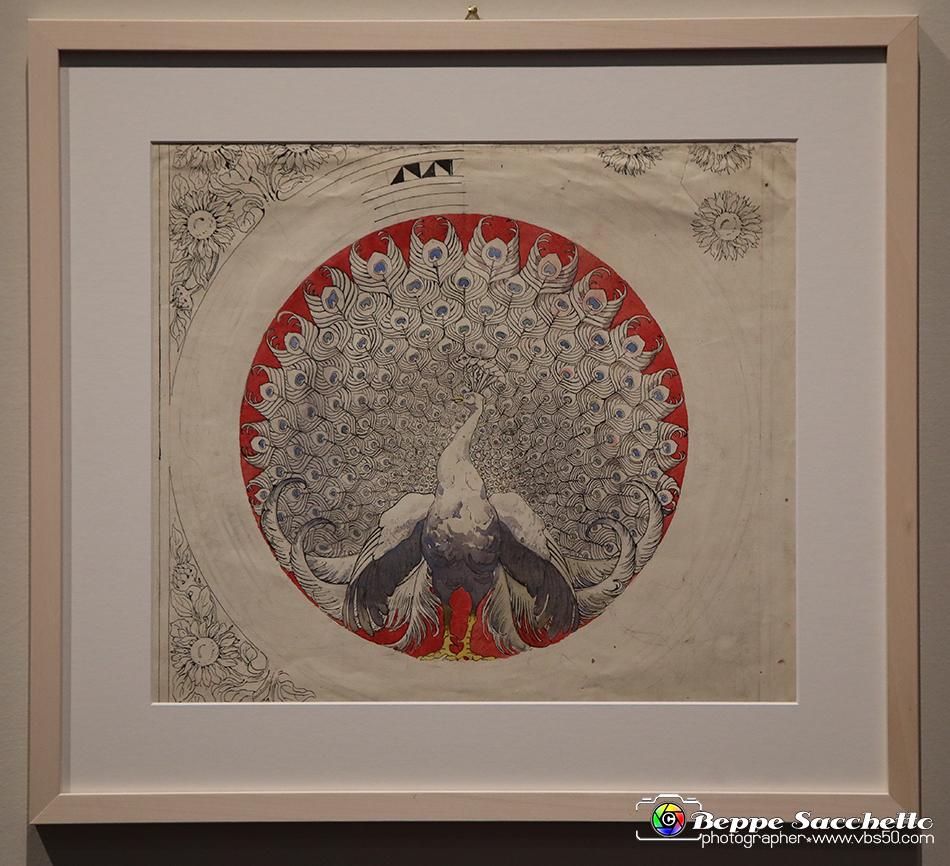 VBS_1258 - Progetti Decorativi.jpg